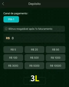 deposits 3L